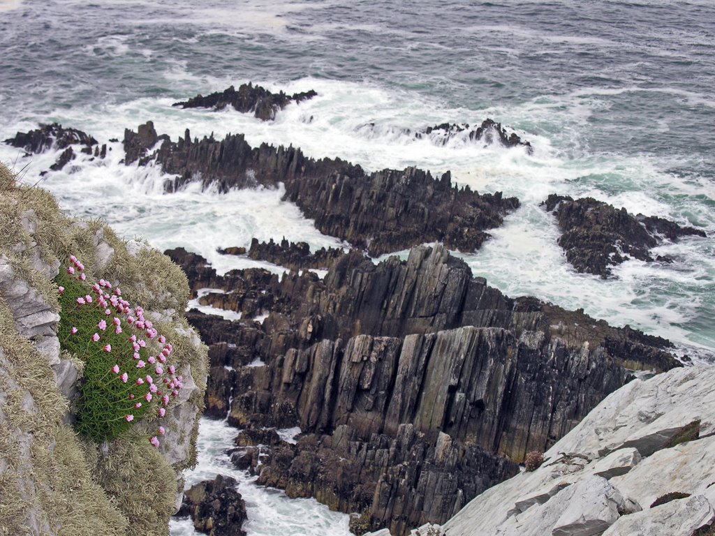 Ligo May 24 36 (Achill Island) by Cliff Jennings