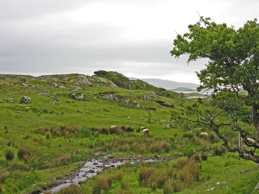 Sligo May 24 51 (Clew Bay) by Cliff Jennings