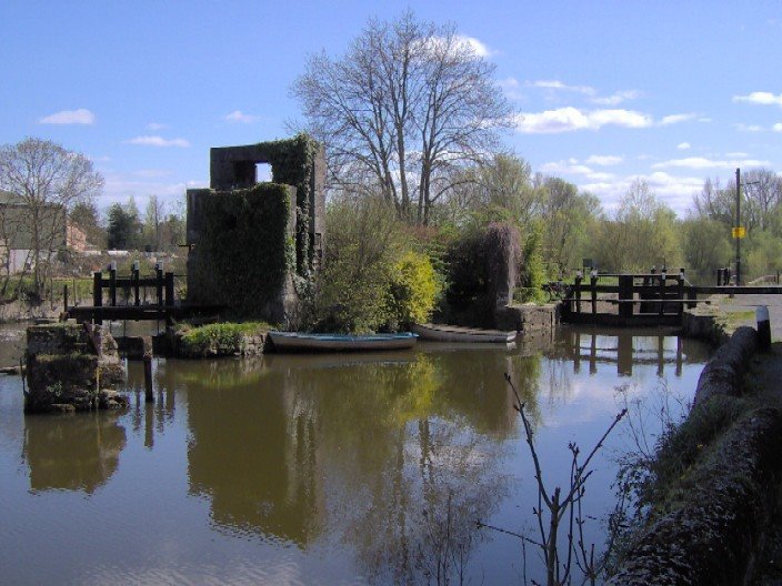 River Barrow, Carlow by erlking