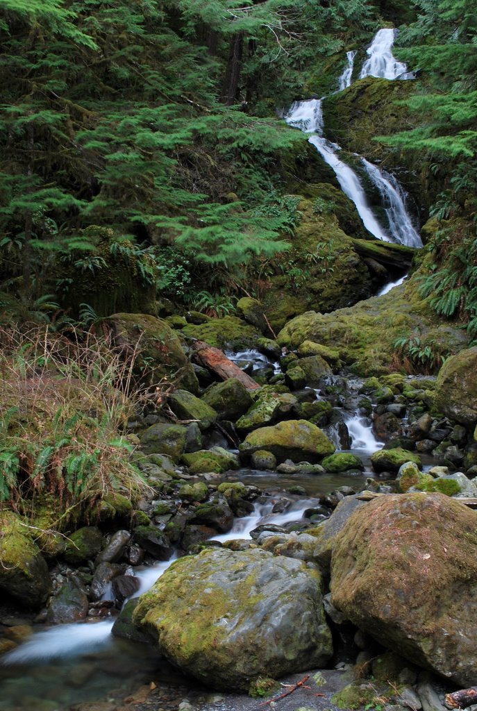 Bunch Falls in Winter by Chris Harmon