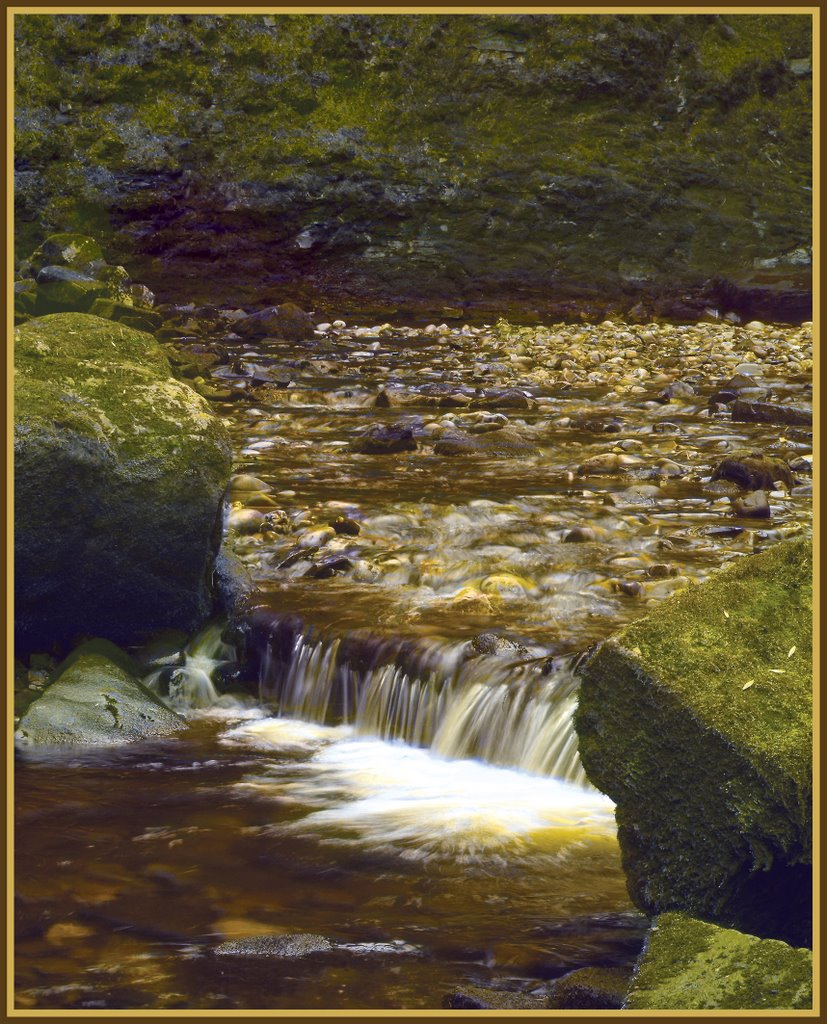 Rocky Stream by Karen James