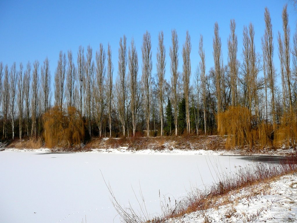 2009-01_Angelsee Rohrhof-01 by Peter Grawert