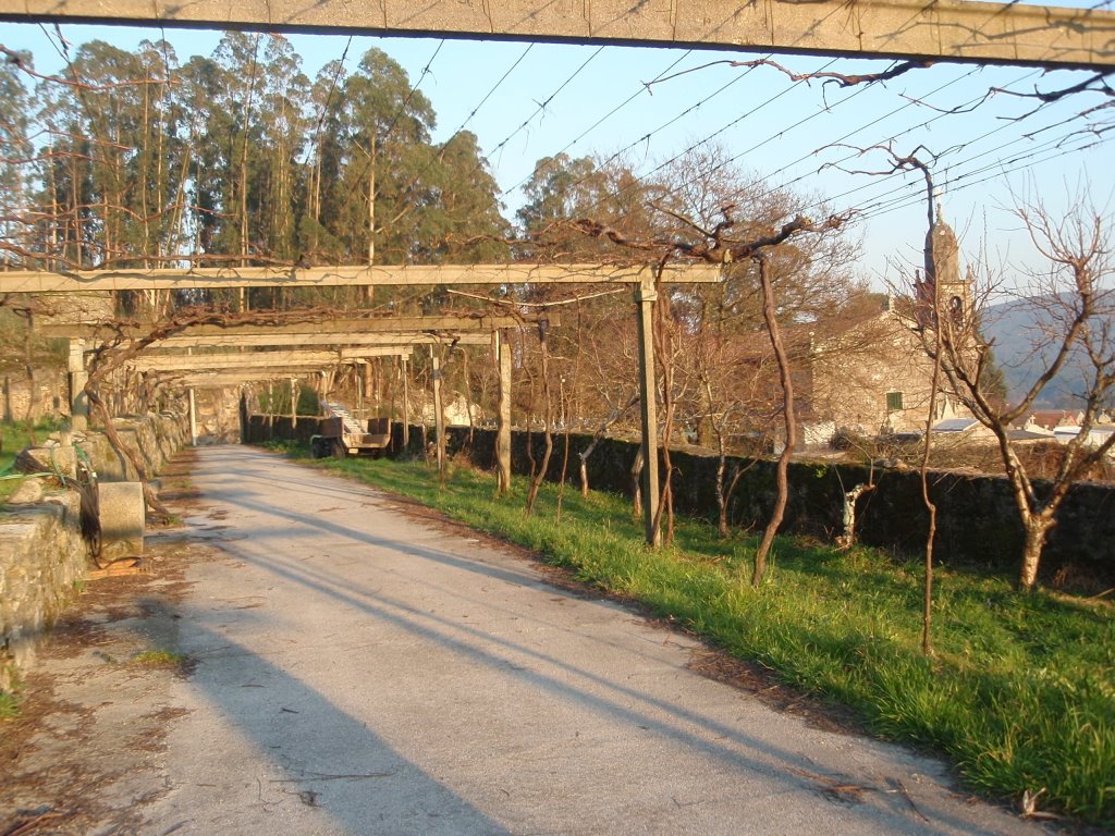 Rectoral de O Araño by Eladio Cortizo