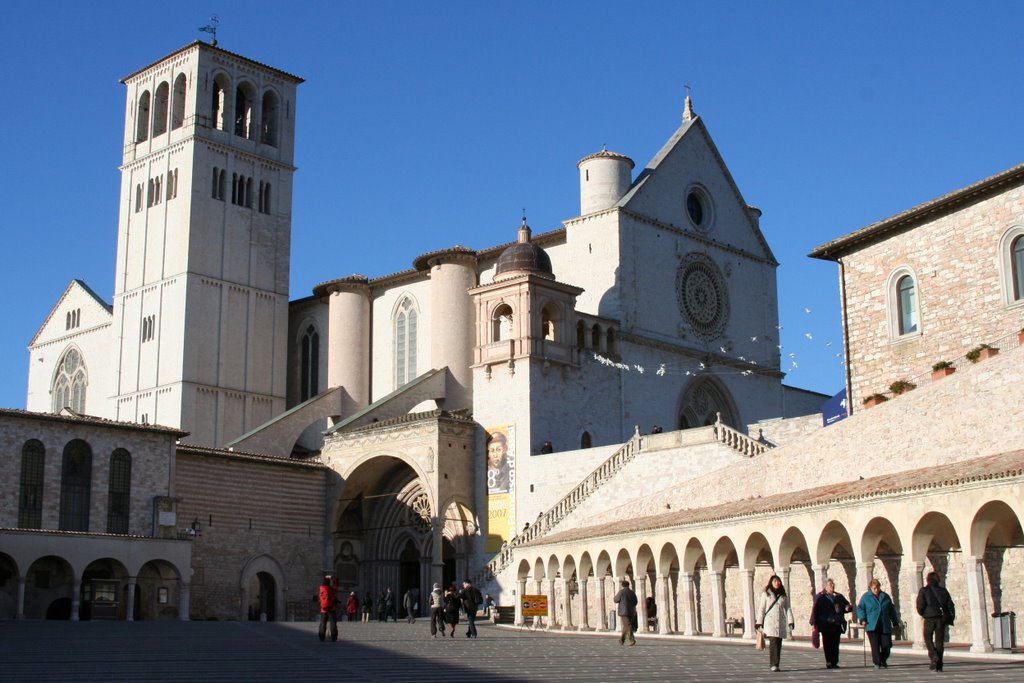 Assisi-ff by iamfinfish