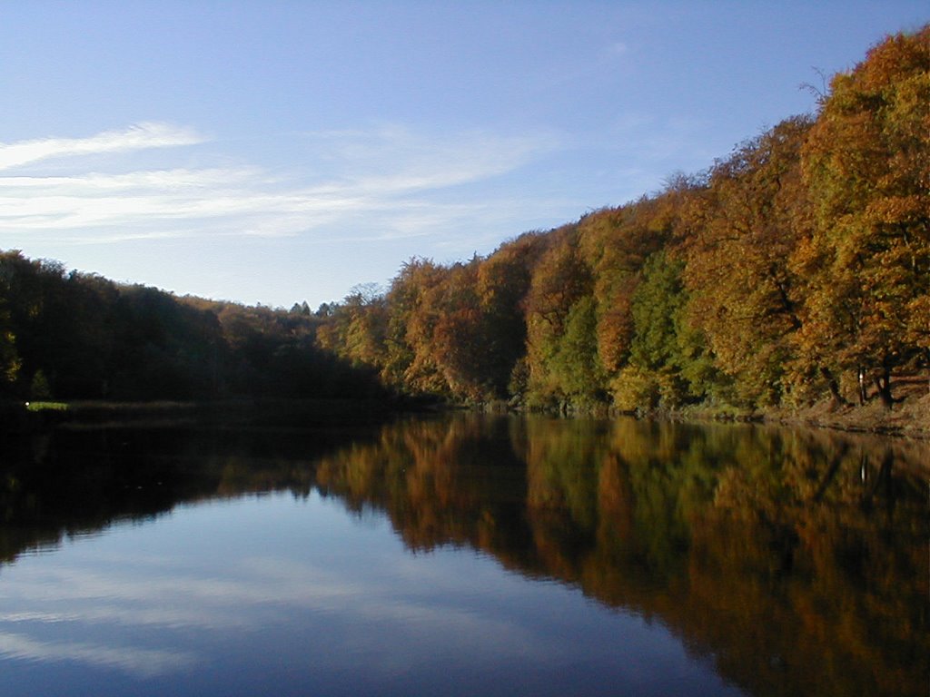 Etang dans le Warndt by Jeremy_K