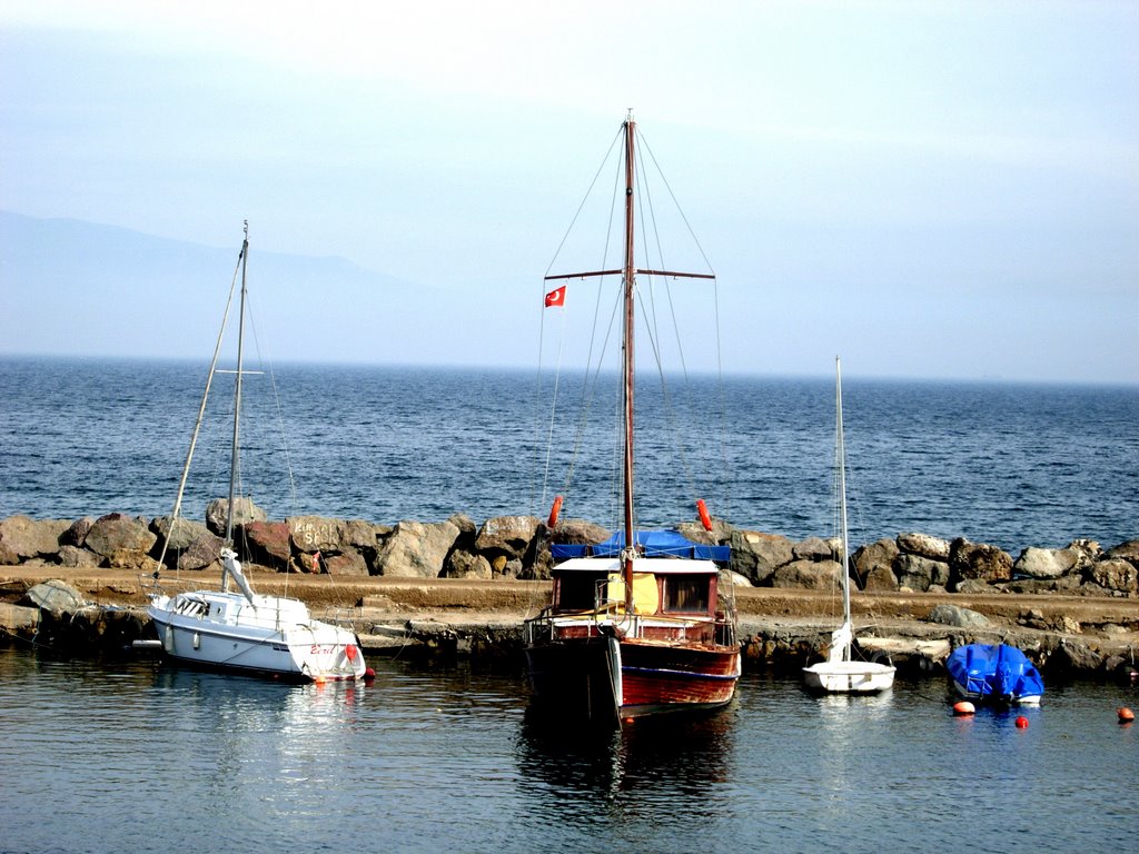 Boats by saykut