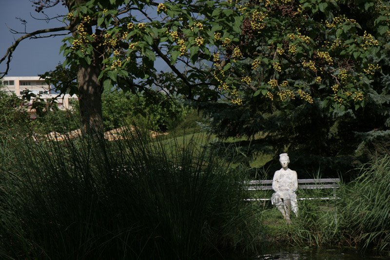 Fondation Gianadda, Martigny, Switzerland by isogood