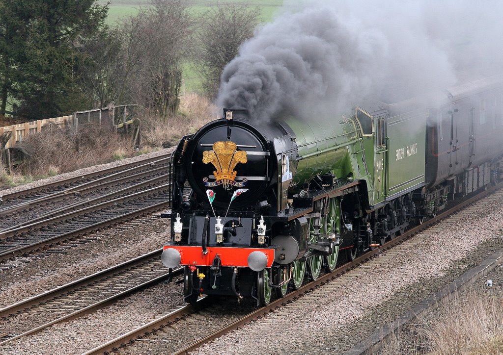 New Build Peppercorn Class A.1 No.60163 TORNADO at Colton Jnc 19th February 2009 by top spotter