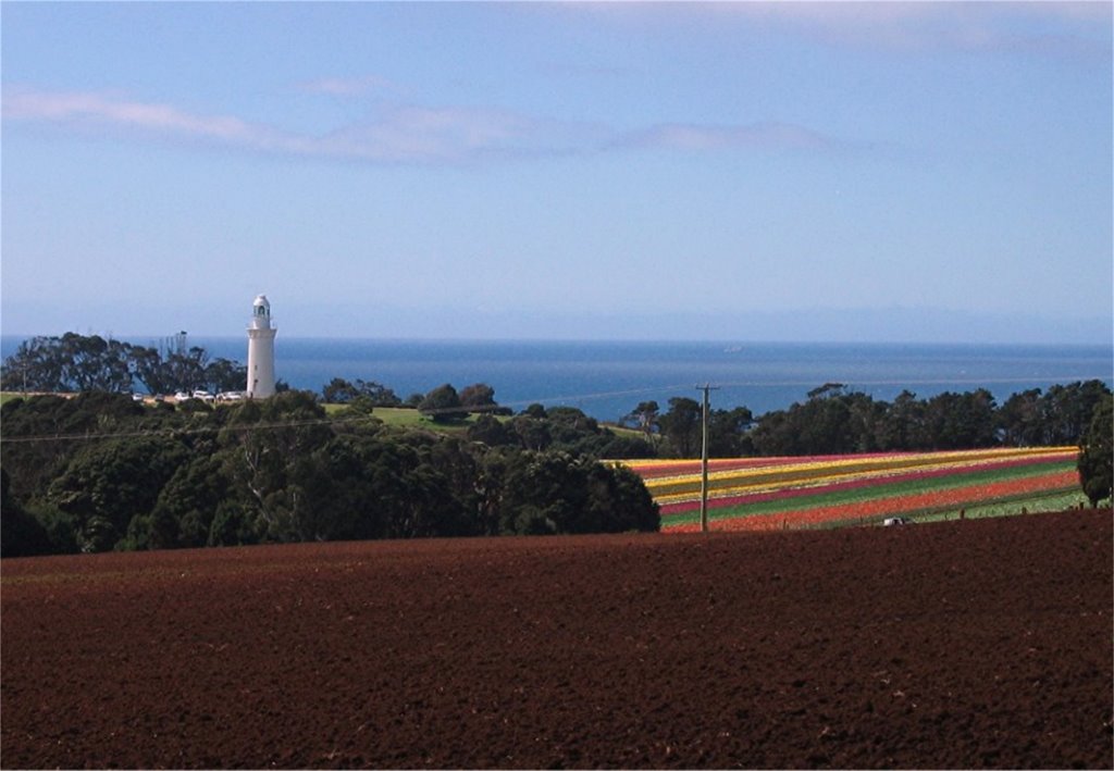 Table Cape Lighthouse by devonport109