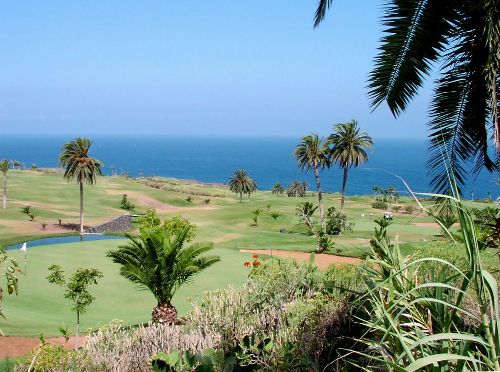 Buenavista Golf, Green 1 by Rainer I.