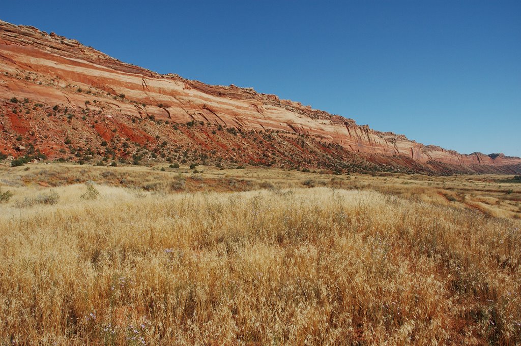 Comb Ridge by Tom C.