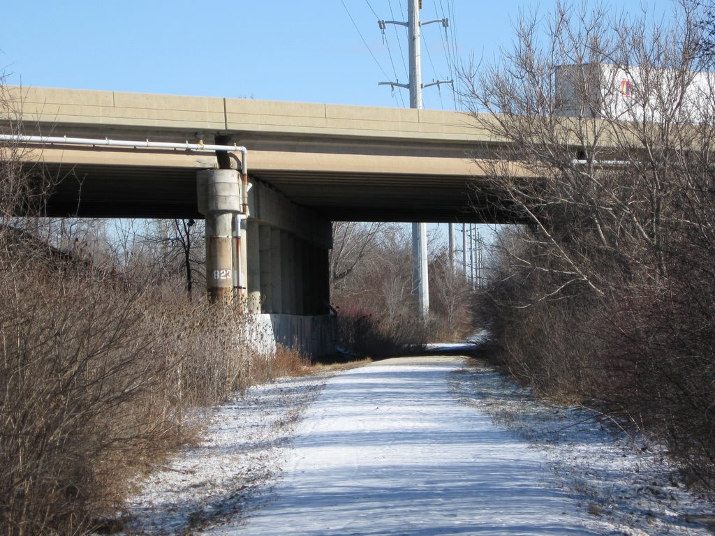 I-88 Overpass by MikeyMike1980