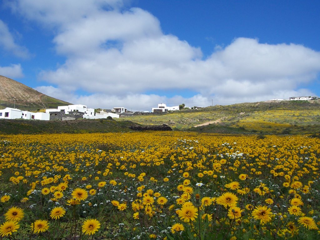 EL TALLER DE ARTE en El barranco de Tegoyo, Tías, Lanzarote by EL TALLER DE ARTE Lu…