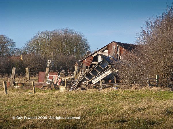 Gedney, near Fleet Hargate by Guy Erwood