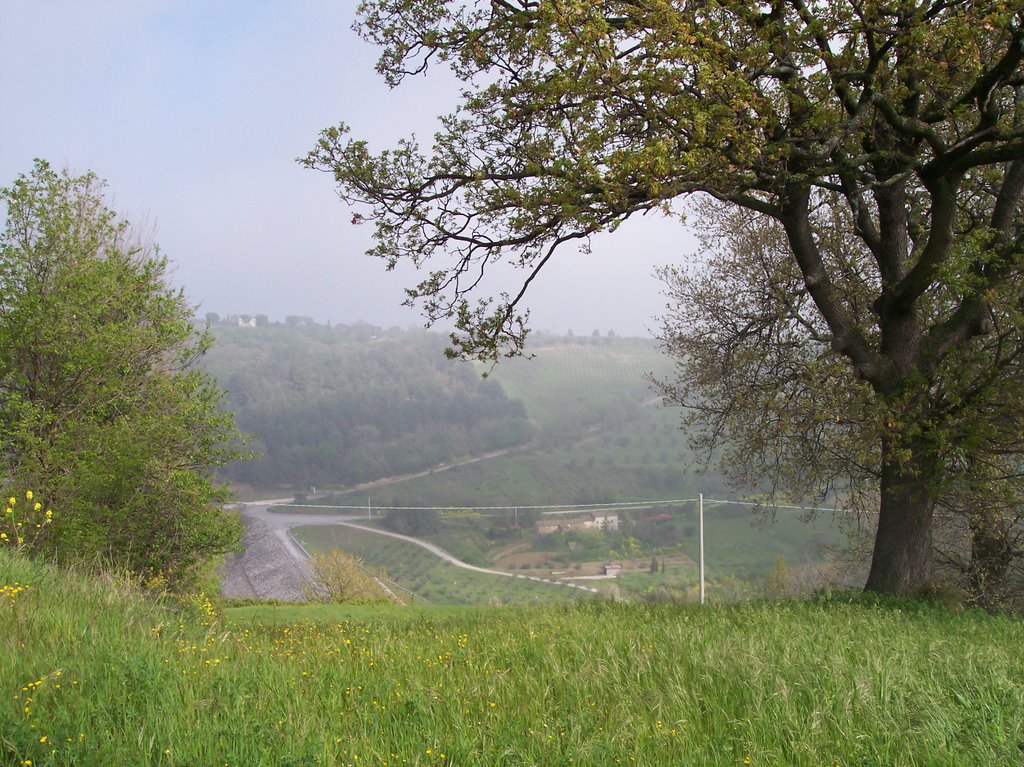 Diga Rio Canale - Veduta dalla collina by CastElle