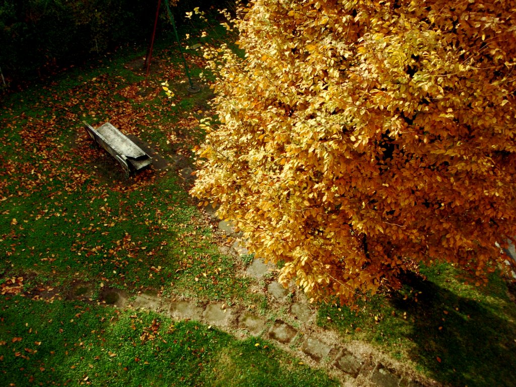 Automne 2008 by sandrine GETAZ