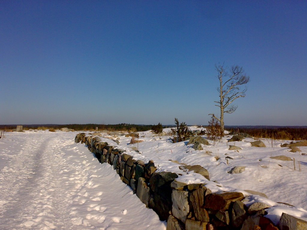 The artificial hill in Vuosaari by sibirica