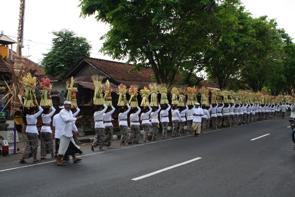 Ceremonie bij Mengwi by Adriaan van Dis