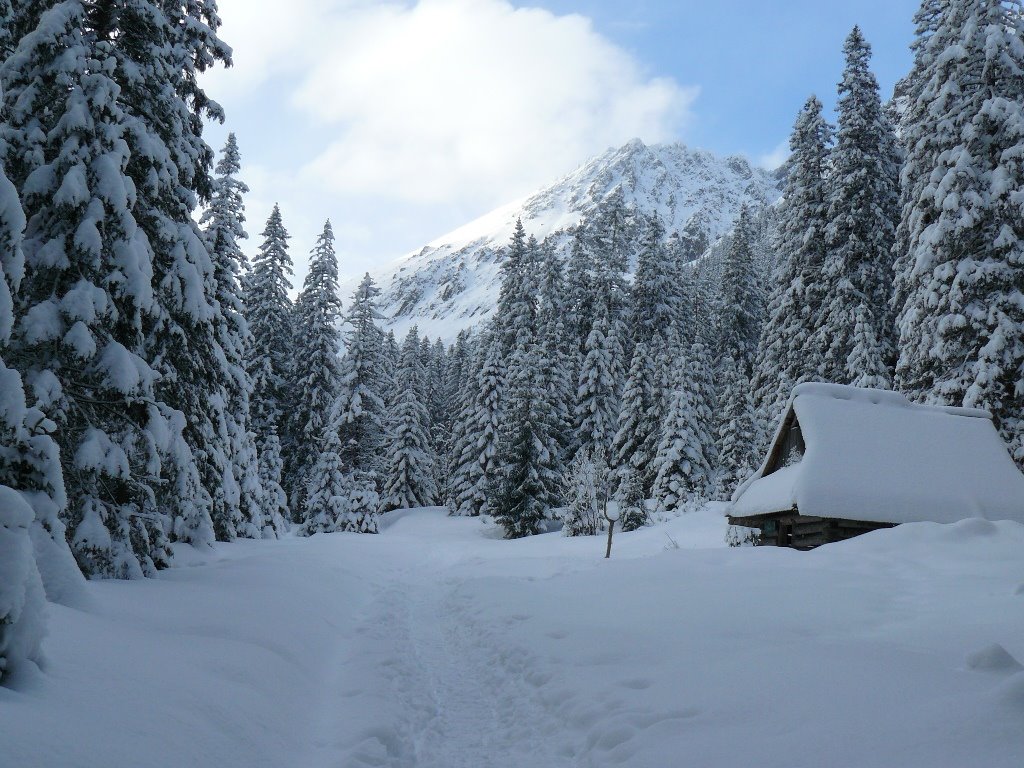 Dolina Roztoki (Roztoka Valley) by qra