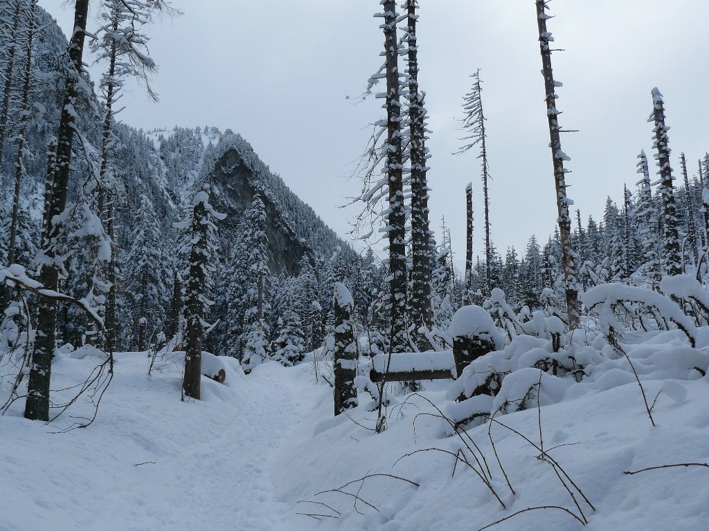 Dolina Roztoki (Roztoka Valley) by qra