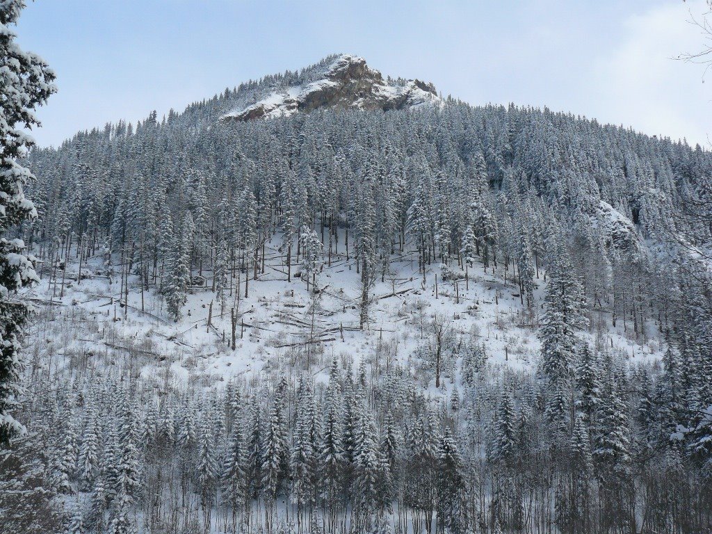 Widok z drogi koło Polany Palenicy (A view from road near Polana Palenica clearing) by qra