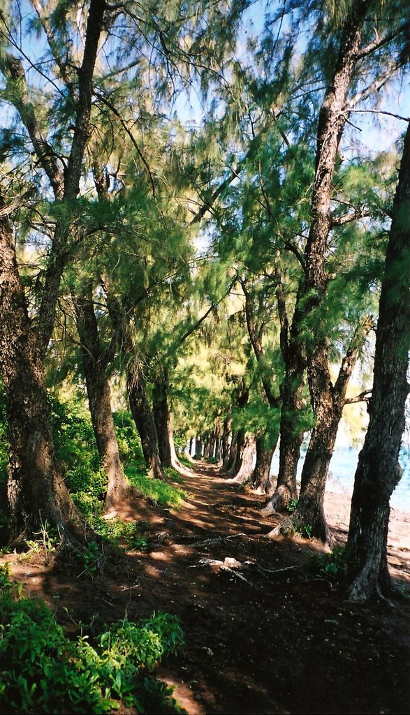 Changuu Island, Zanzibar by steviej