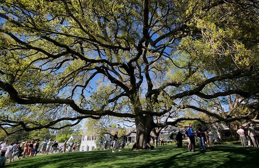 Augusta National Golf Club, Georgia, USA by isogood