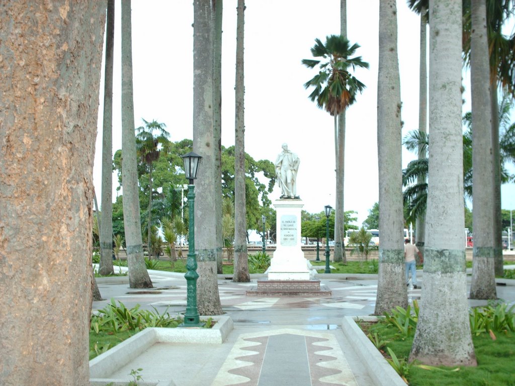 La bella Plaza Sucre . Río Caribe, Edo. Sucre, Venezuela by noris de medina