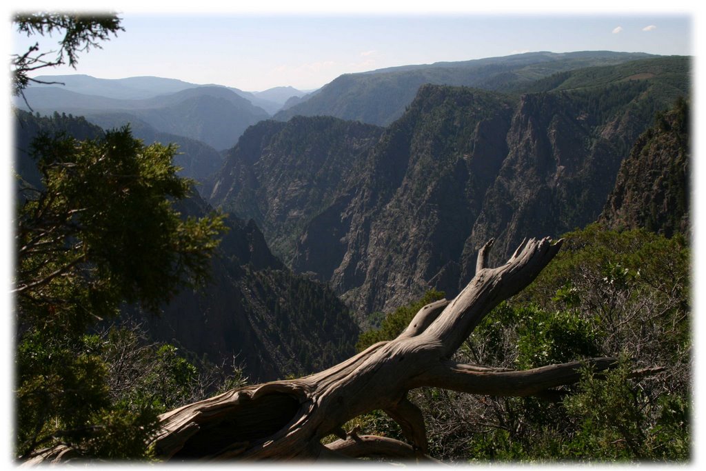 Black Canyon of the Gunnison by waynelr