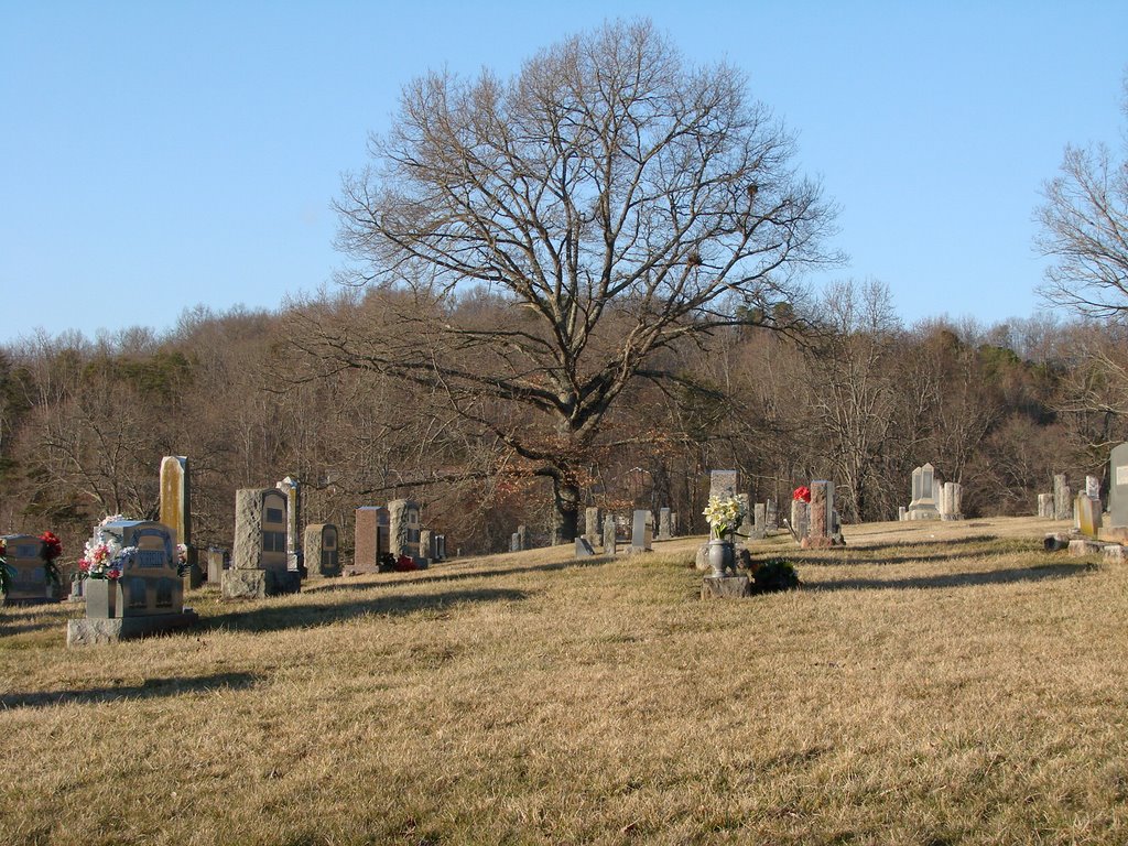 Oak Tree And Cemetery by Jean Gregory Evans