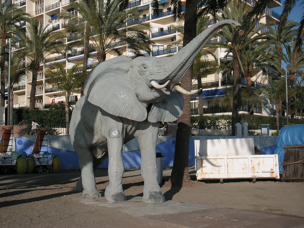 Marbella Elephant by Dseven