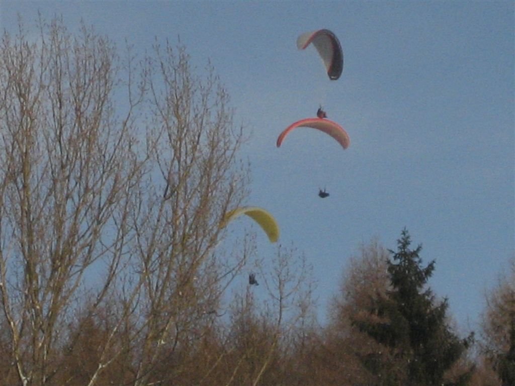 Mühlenflieger im Winter by vzelle