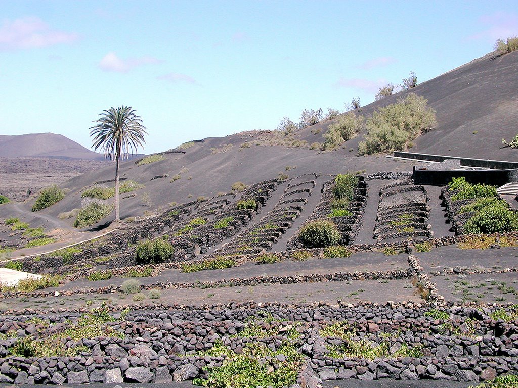 La Geria (Lanzarote) by Juan Antonio Rodrígu…