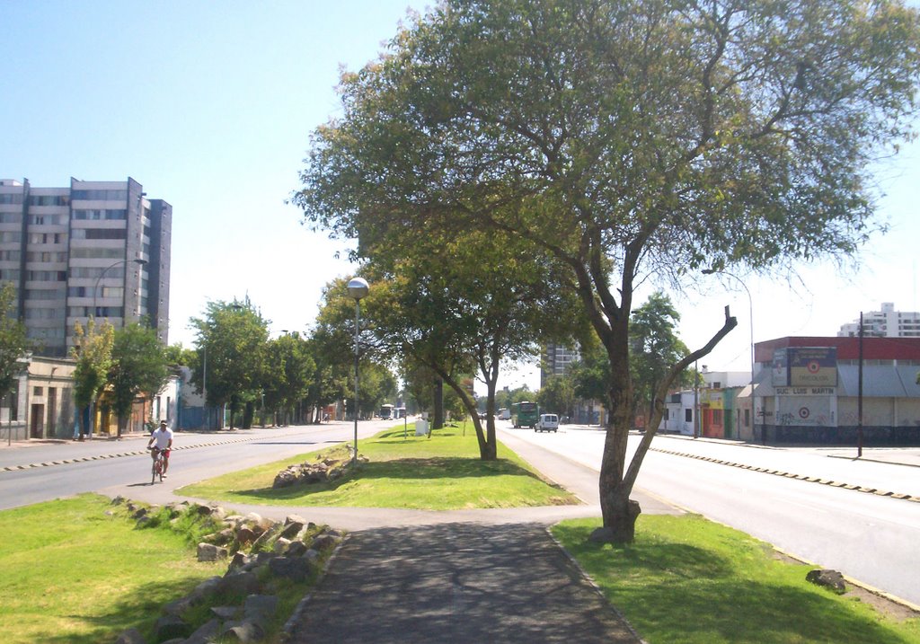 Ciclovía en la Alameda (vista al poniente) by 2late