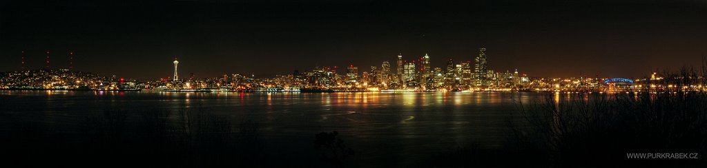 Seattle Downtown from Hamilton Viewpoint Park in West Seattle by dpurkrabek