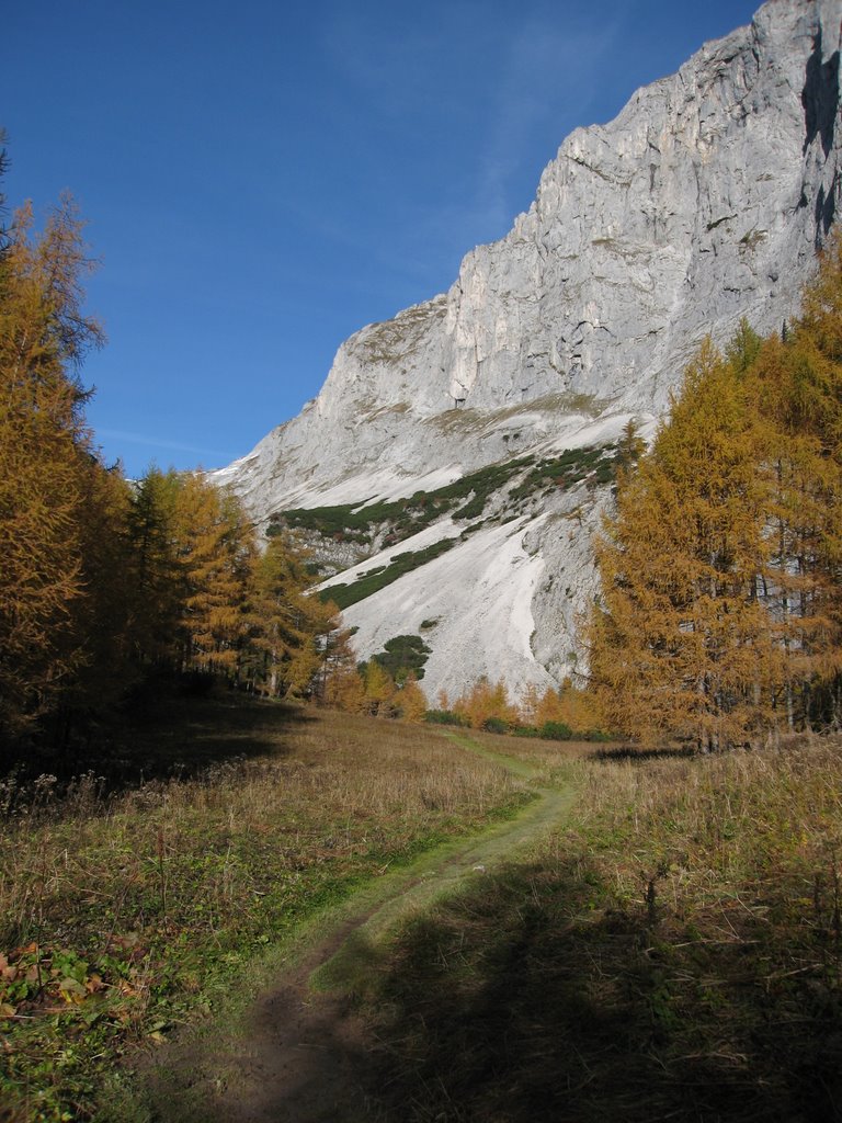 Gemeinde Thörl, Austria by Kuzner Michael