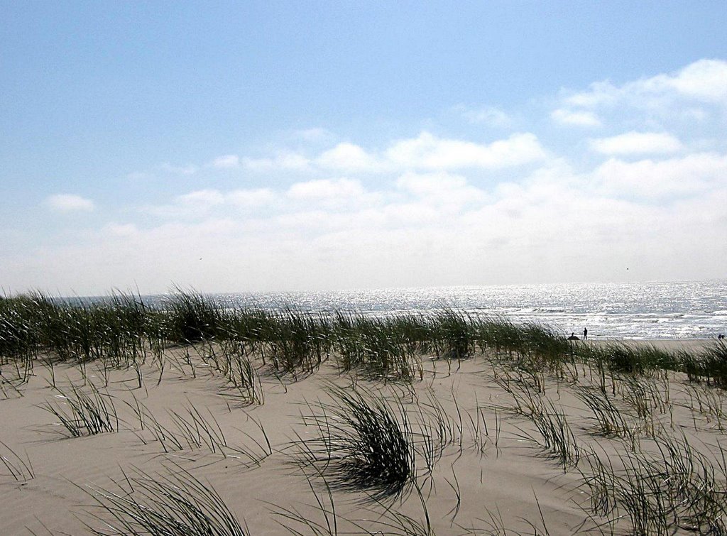 Sint Maartenszee (Nord Holland): Beach/oceanview over the dunes by GandalfTheWhite