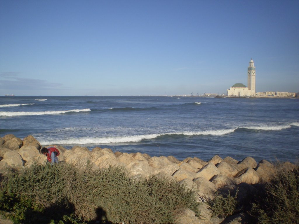 El Hank, Casablanca, Morocco by tomaspenna