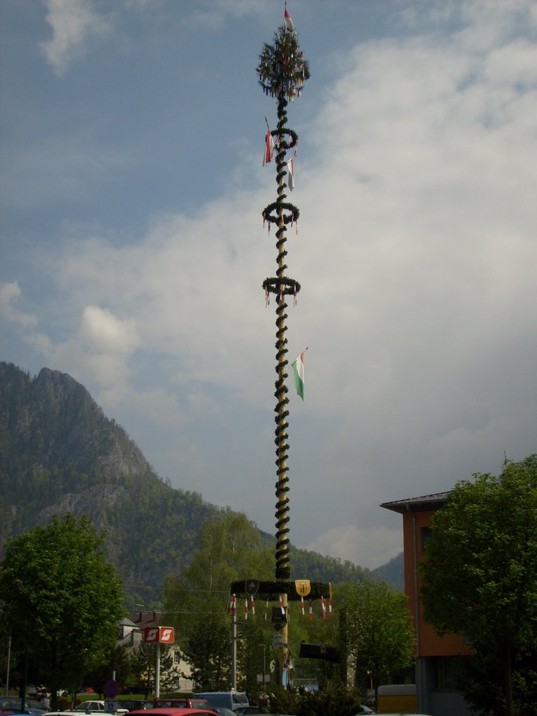 Maibaum by strizzi