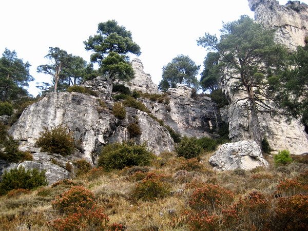 Roquetes, Tarragona, Spain by Lluis Ibañez