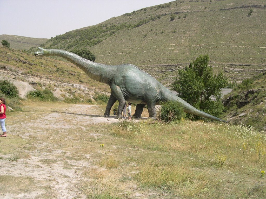 Huellas de dinosaurio. Yacimiento de Valdecevillo by Pilar Roldán Jiménez