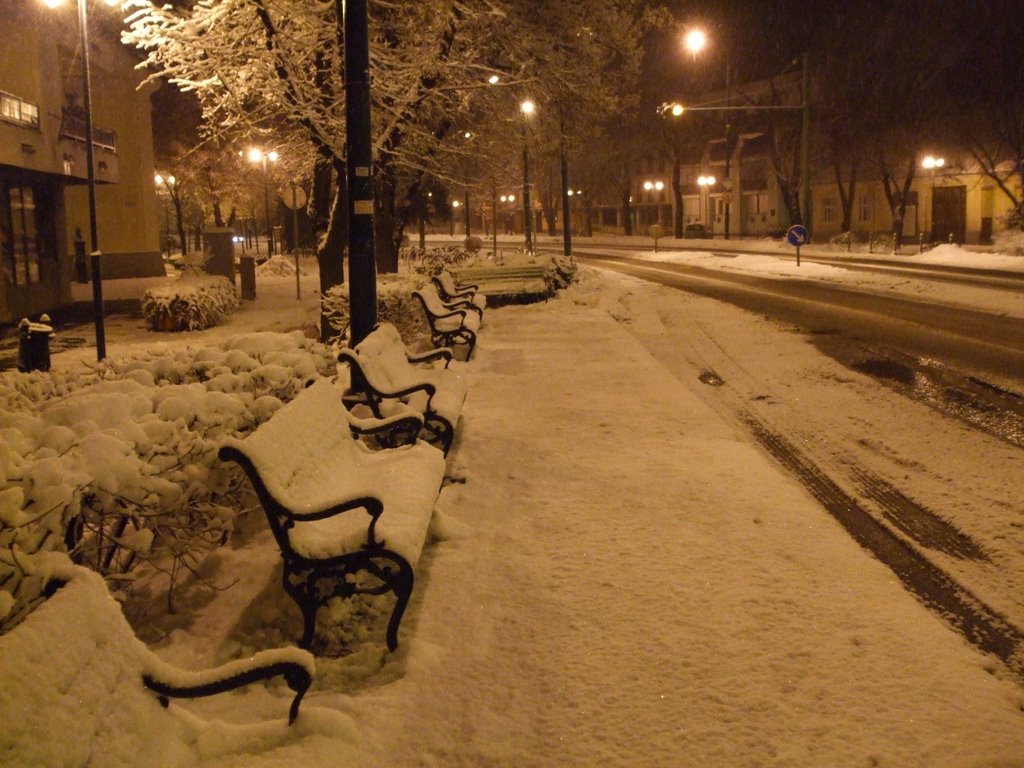 Winter night in the bus stop by Johnny05