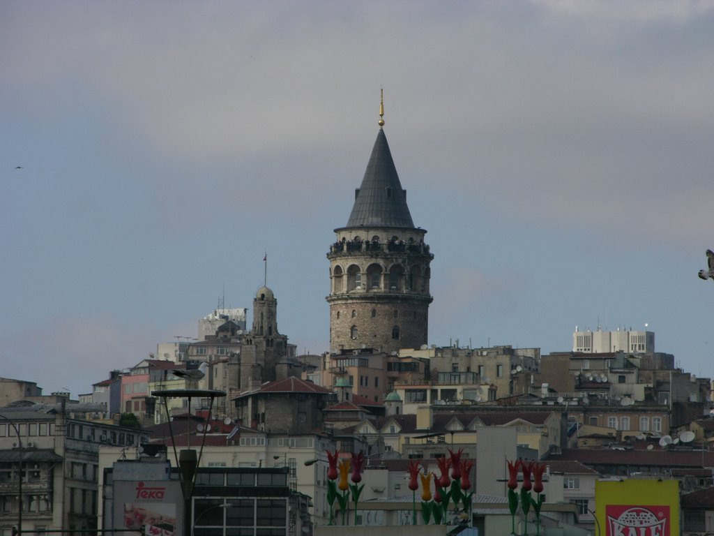 Galata kulesi by ignc