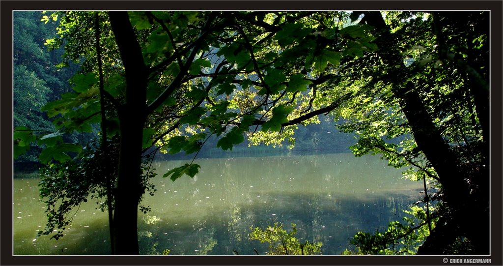 Klagenfurt | Viktring | Tremischer Teich by ► © ErAnger