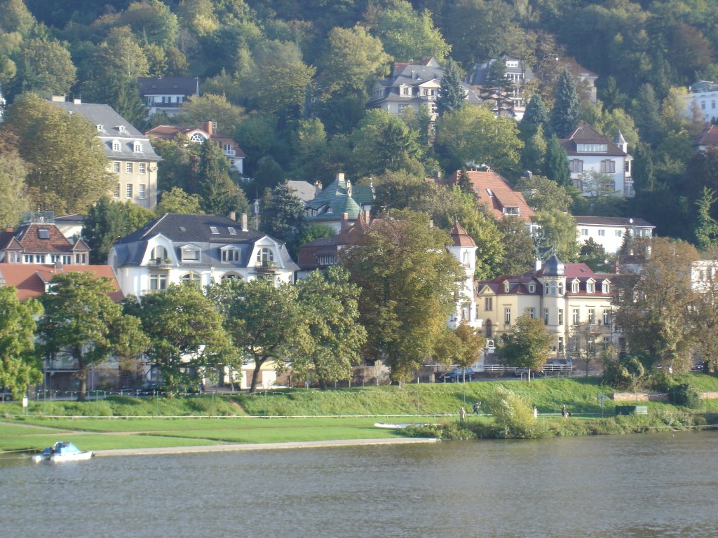 Heidelberg, Germany by ALPHA HSU