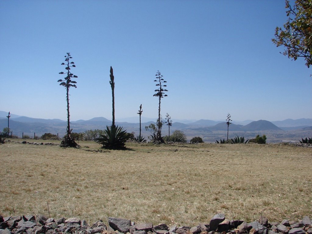 Acambay de Ruíz Castañeda, Méx., Mexico by h2martinez