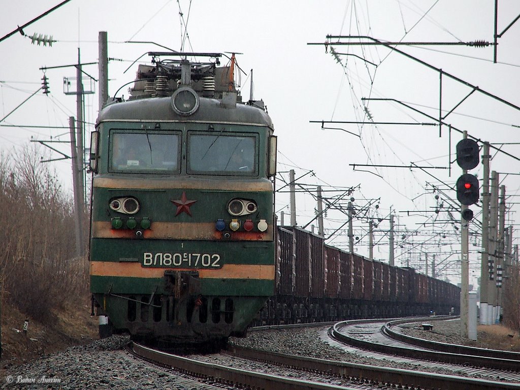 Electric locomotive VL80S-1702 with train by Vadim Anokhin