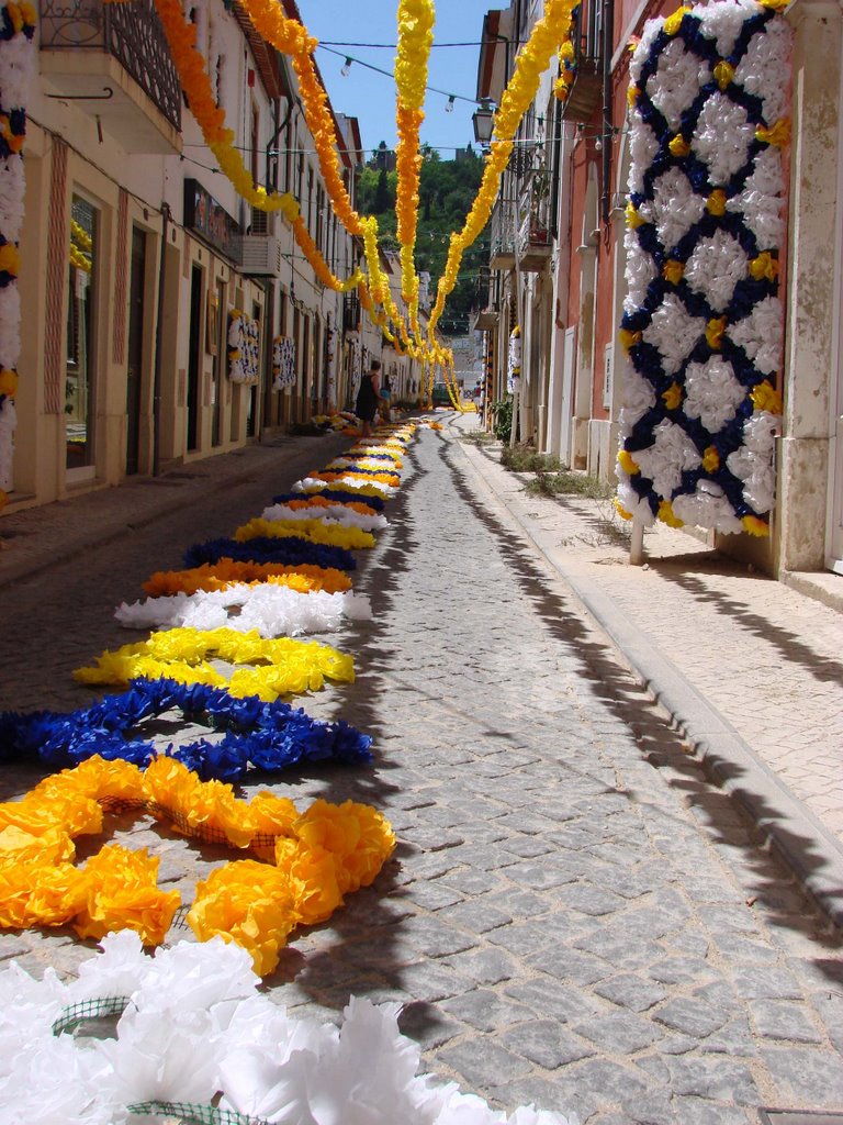 Summer Festiva in Tomar by Christof Verboven