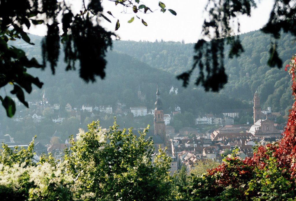 Heidelberg, Germany by ALPHA HSU