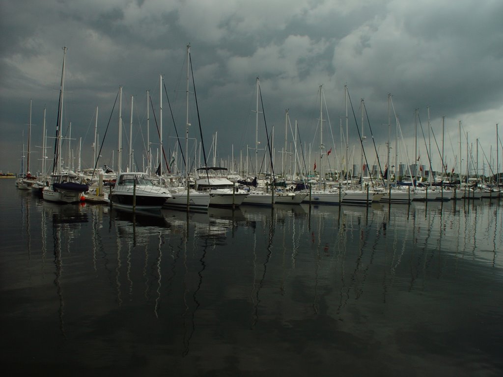 Yachts near Dali museum by alyub